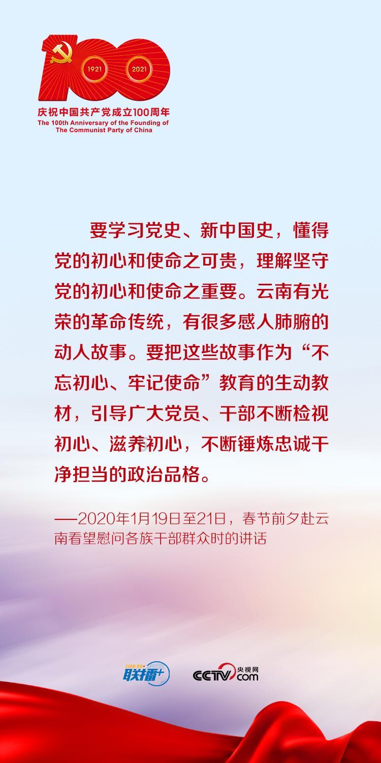 救援呆萌的猫